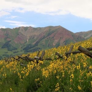Meet your Posher, Lesley